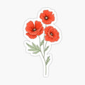 Red Poppy Flowers