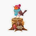 Robin Bird in a cozy winter scarf and hat