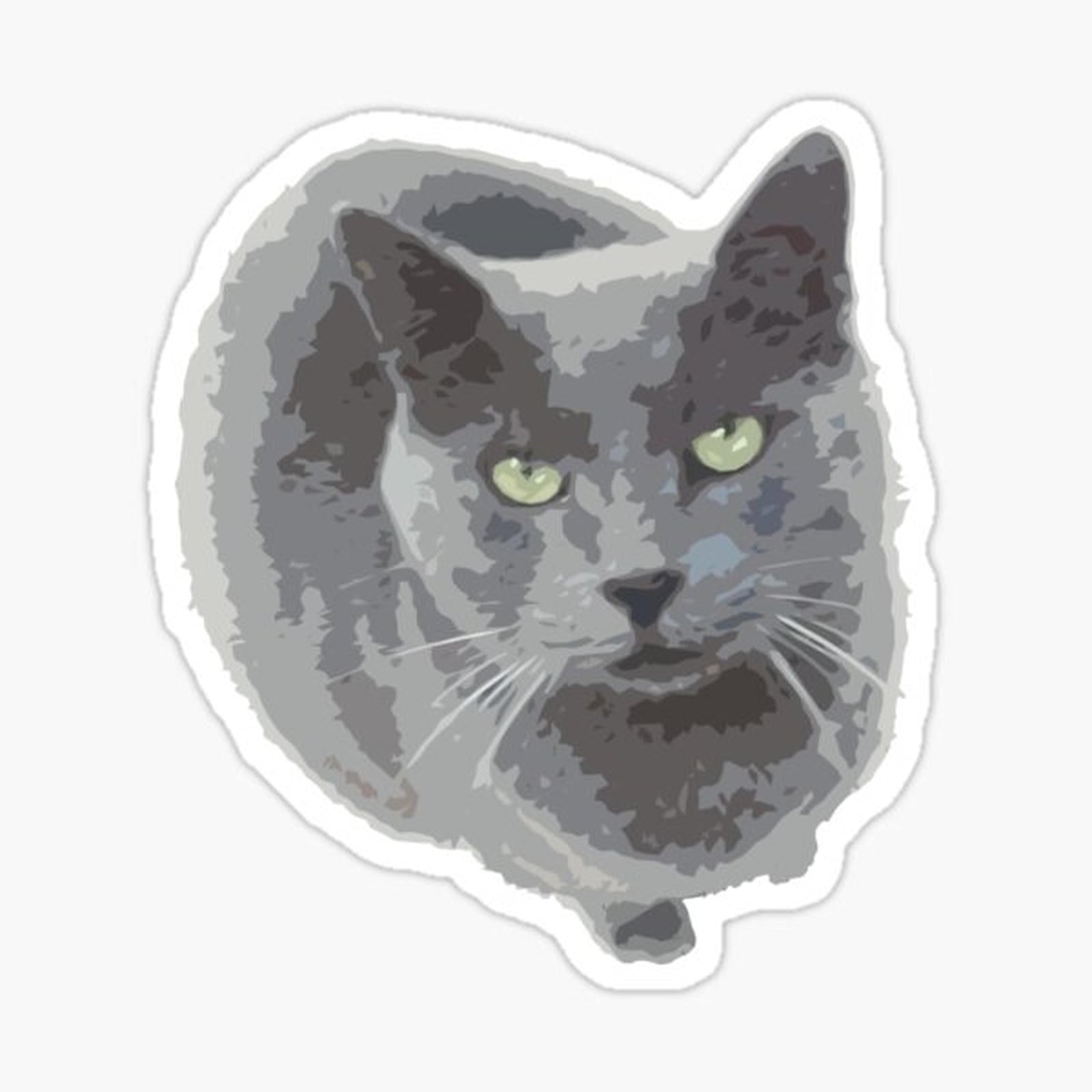 Russian Blue Cat