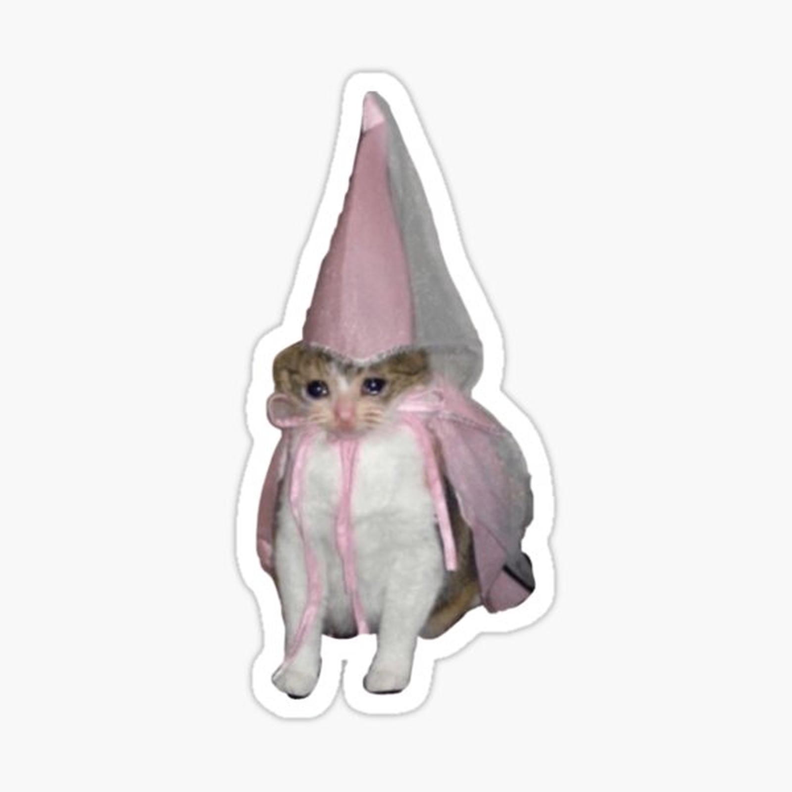 Sad Princess Cat