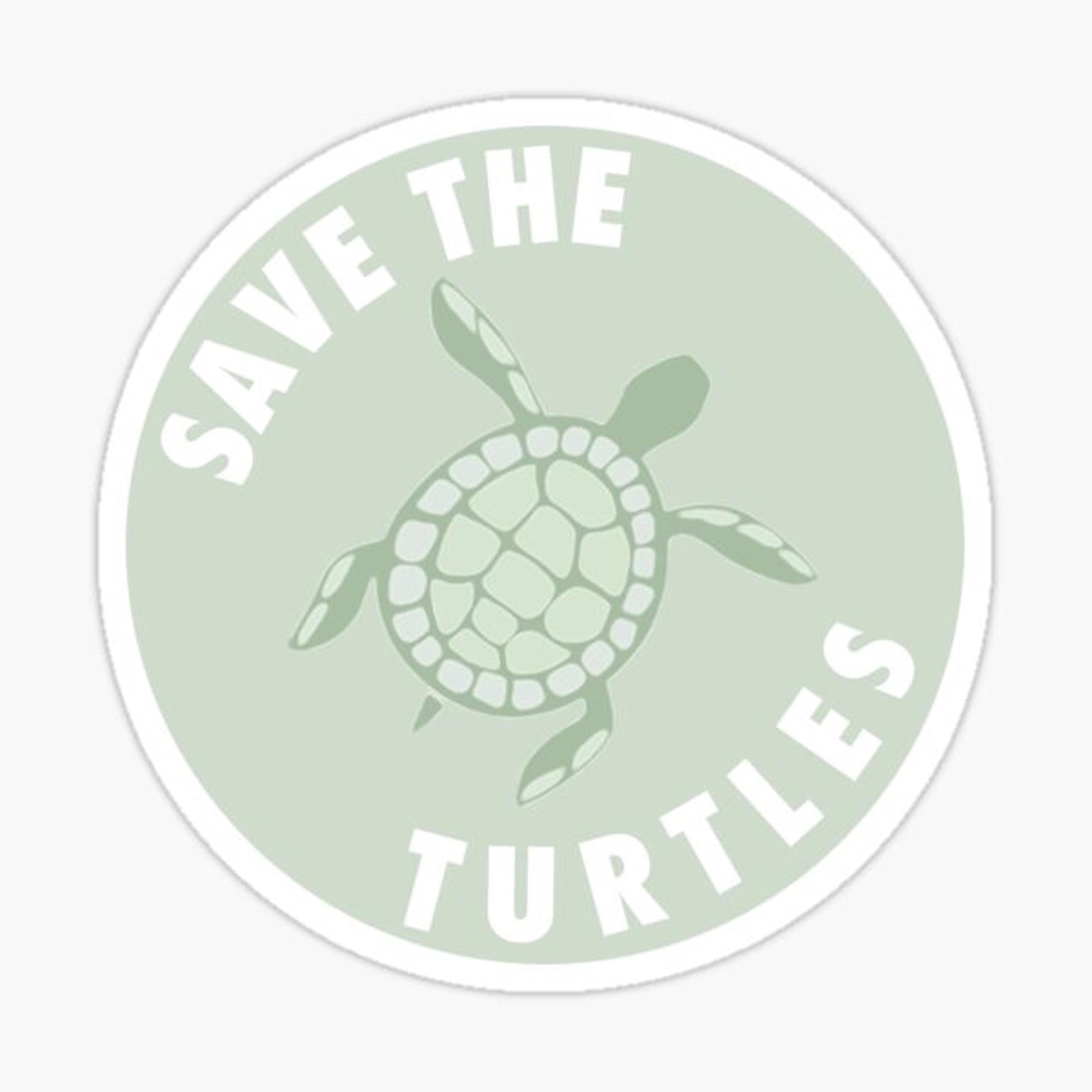 save the turtles badge