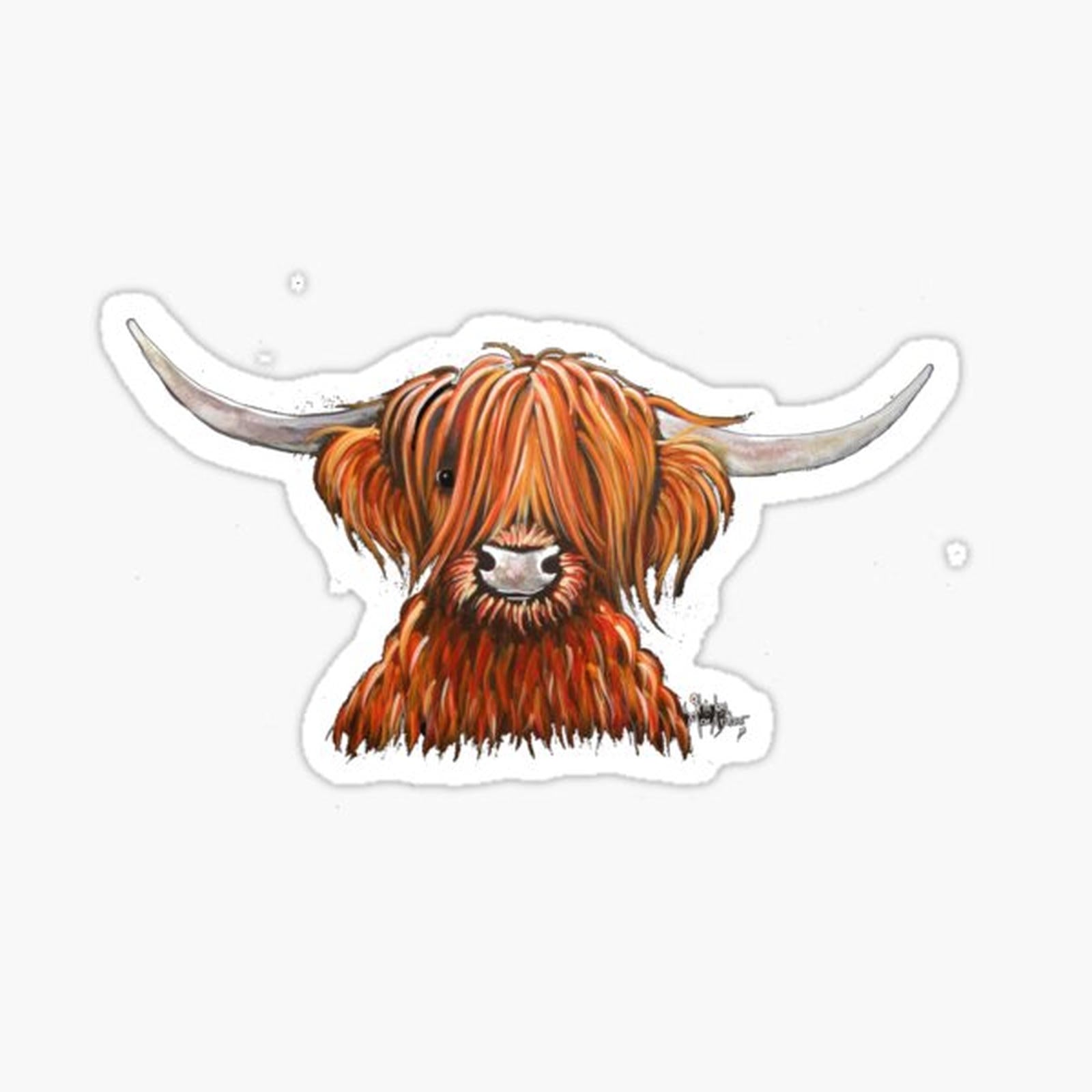 Scottish Hairy Highland Cow ' HeNRY B 2 ' by Shirley MacArthur