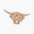 Scottish Highland Cow