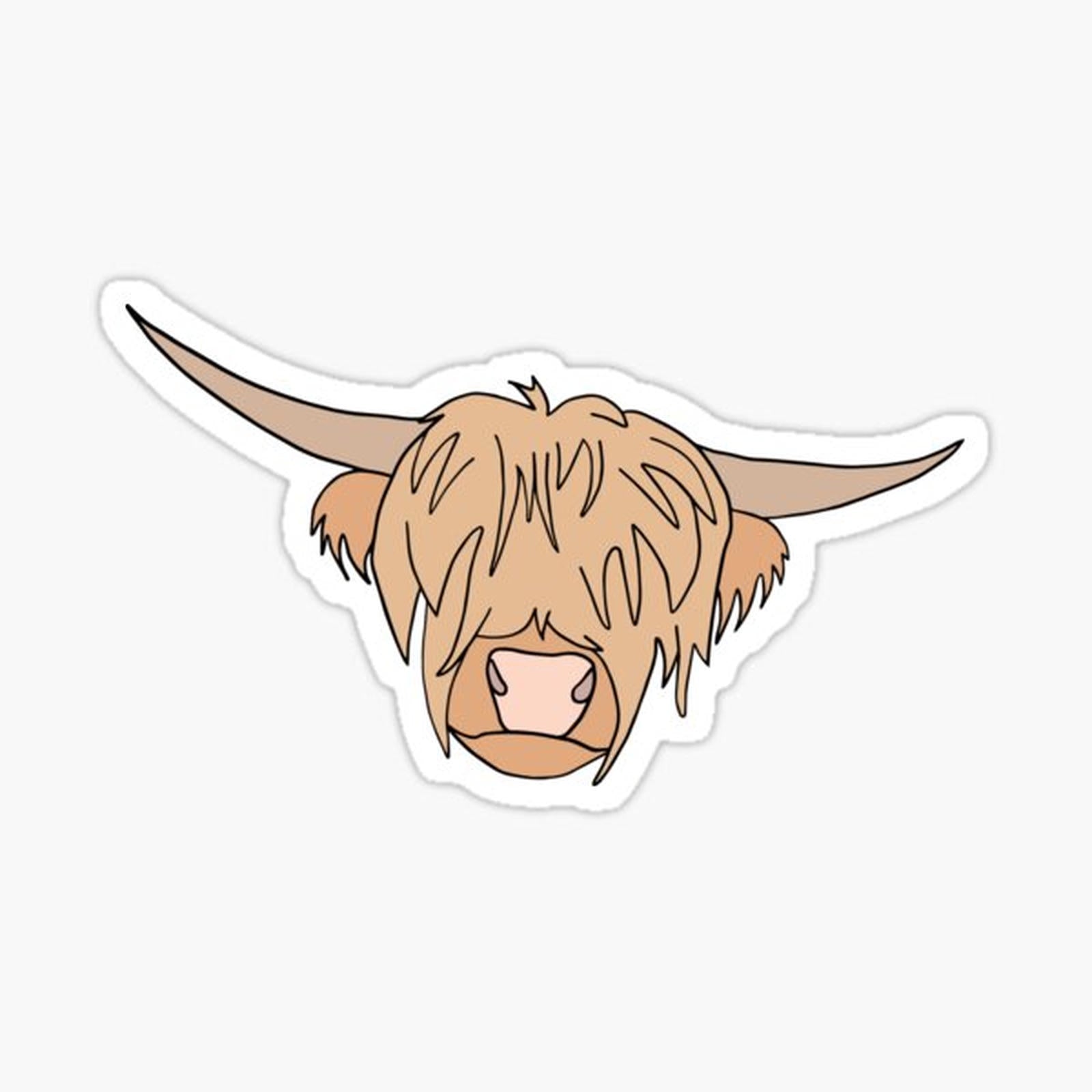 Scottish Highland Cow