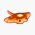 Sea Pancake