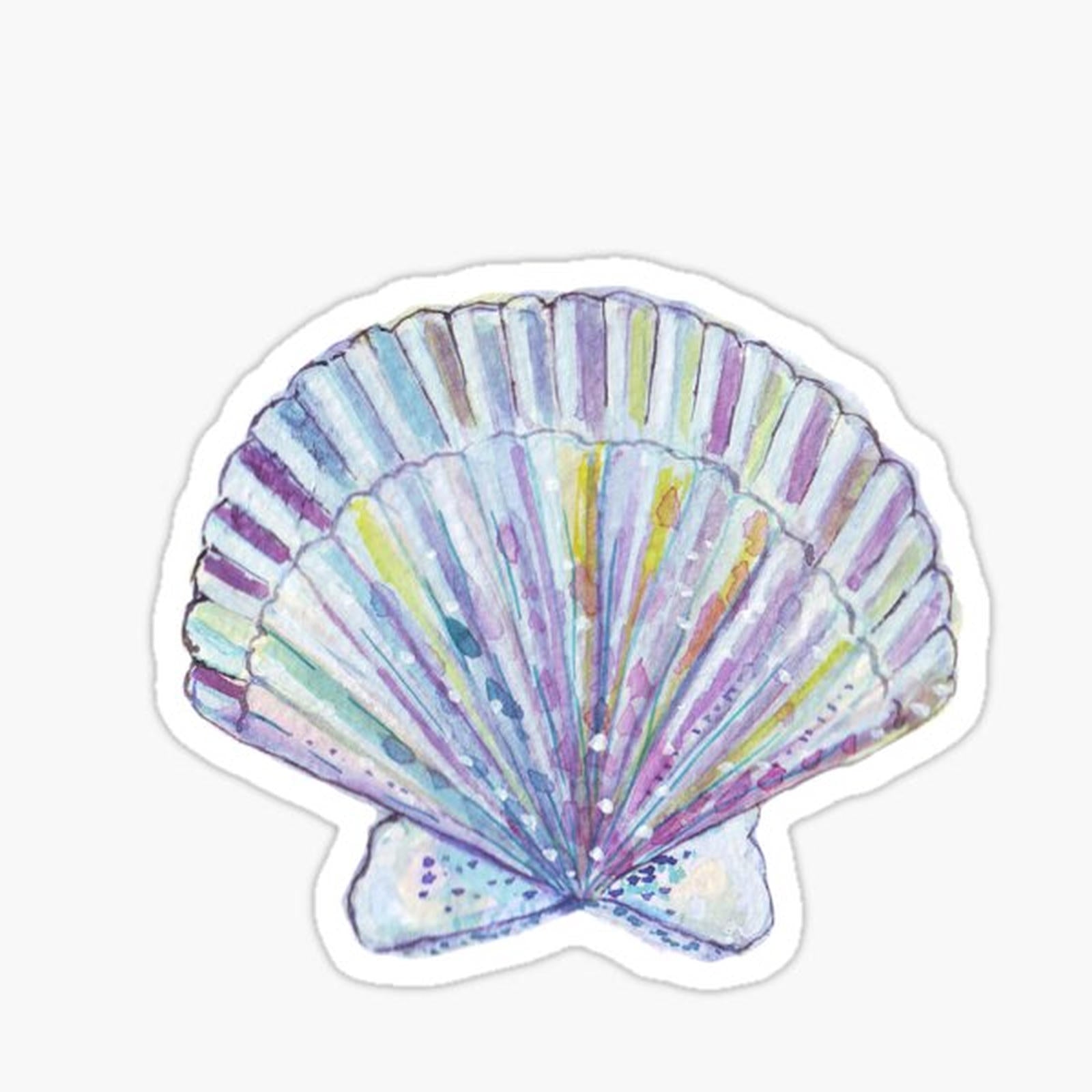 sea shell