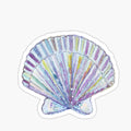 sea shell