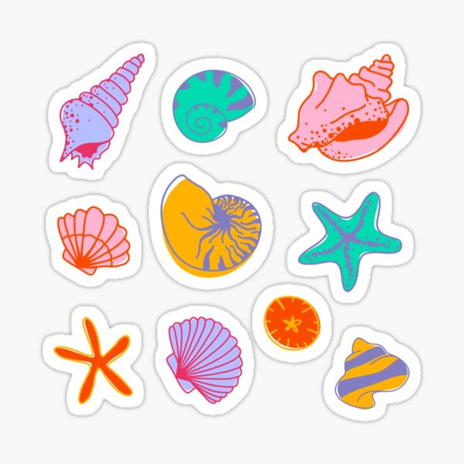 Sea Shells