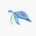 sea turtle