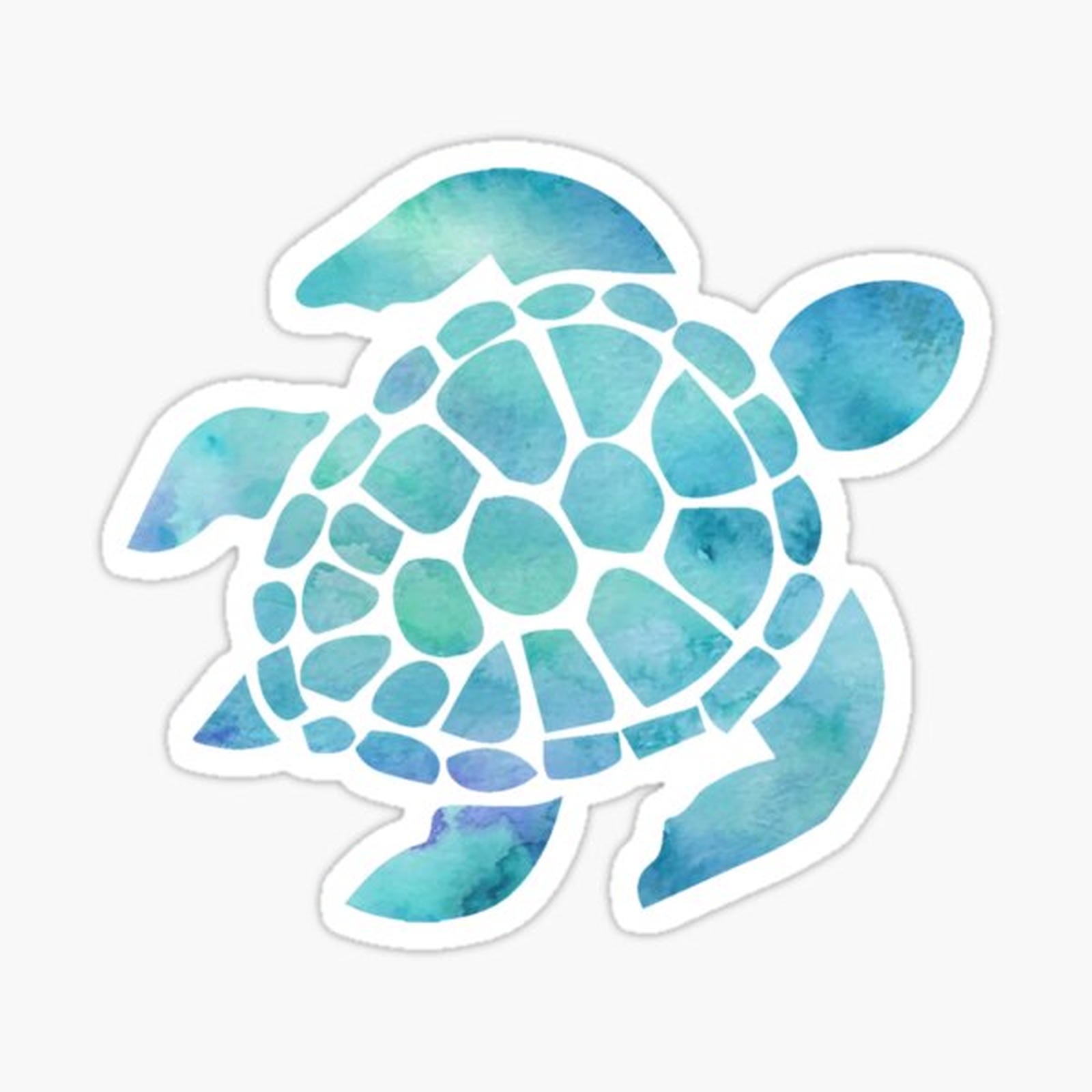 Sea Turtle