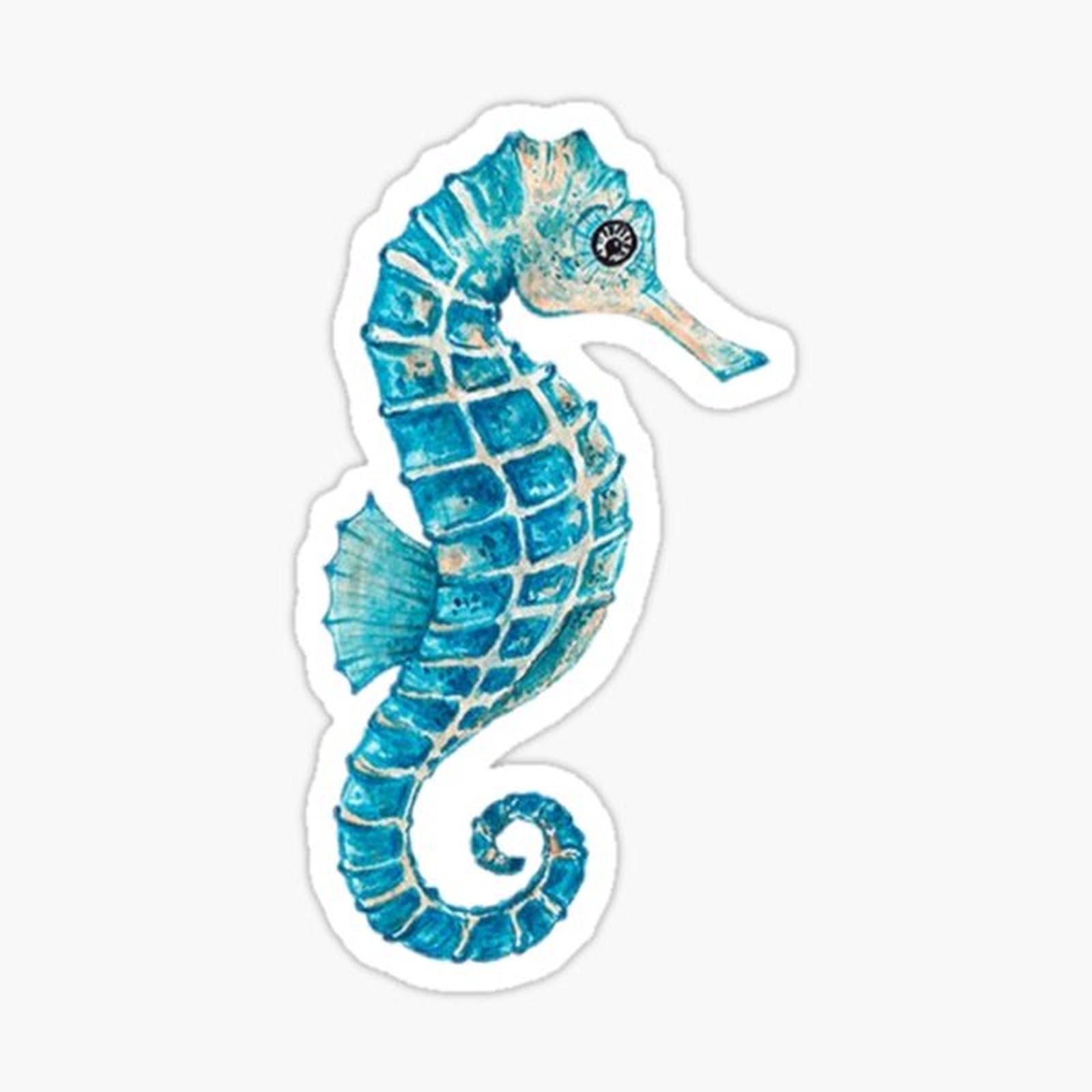 seahorse