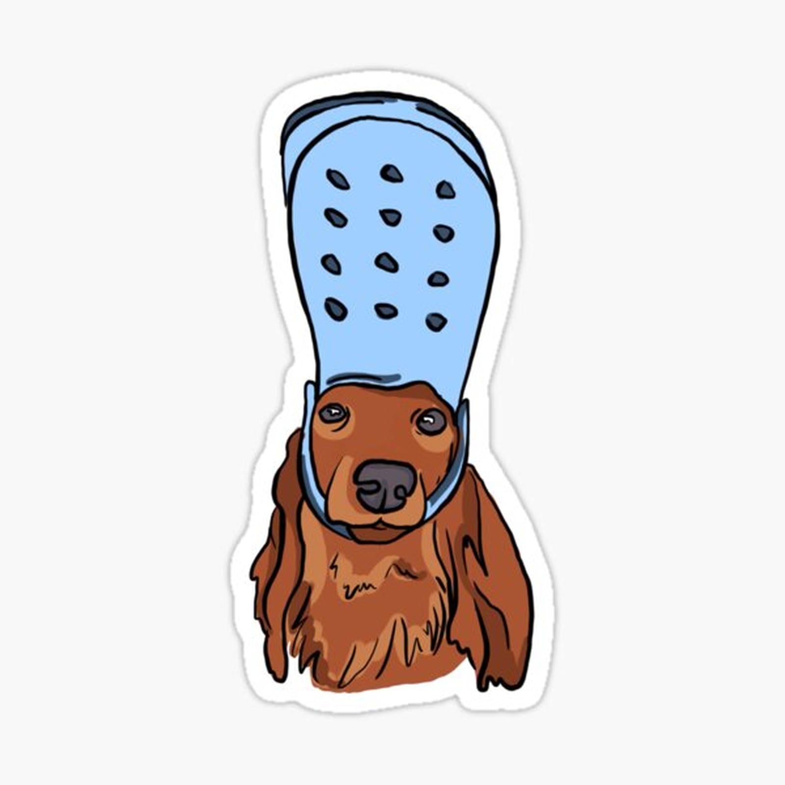 Dog With Crocs
