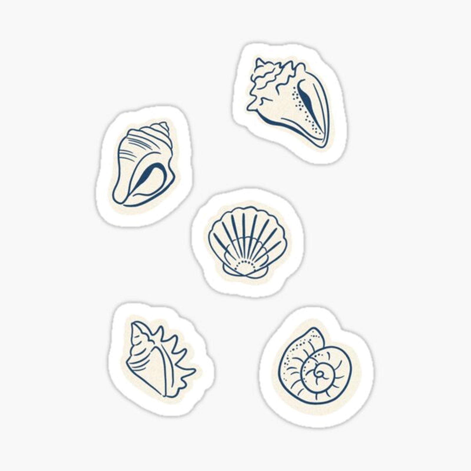 Shell Sheet