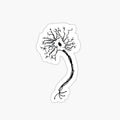 Simple Neuron Doodle