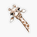 Sketch Giraffe Art