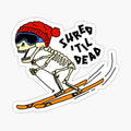 Ski Skeleton