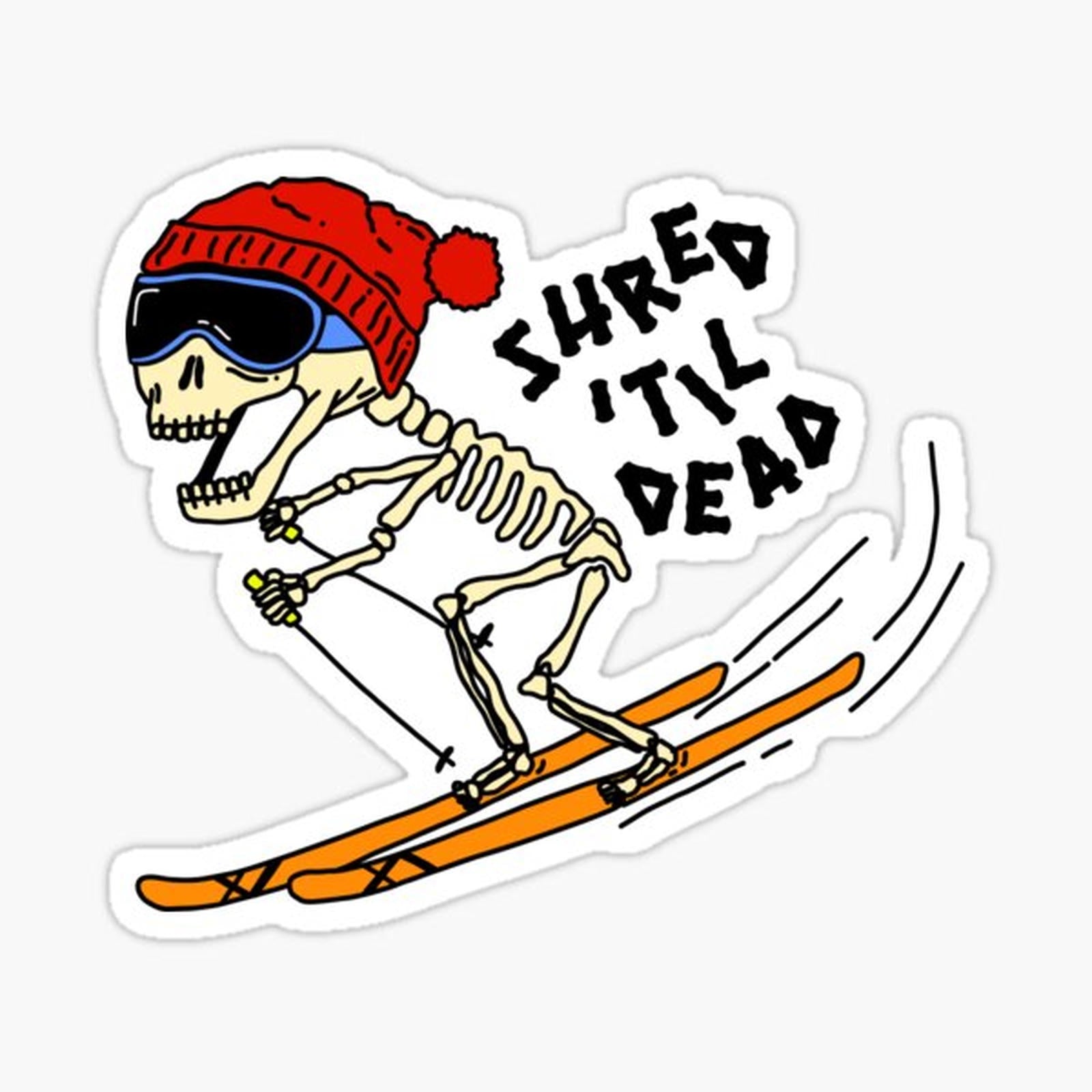 Ski Skeleton