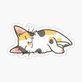 Sleeping Calico