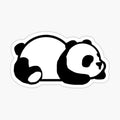 Sleepy Panda