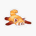 Sleepy Red Panda