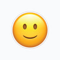 slightly_smiling_face