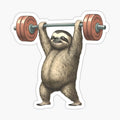 Sloth Lifting Weights