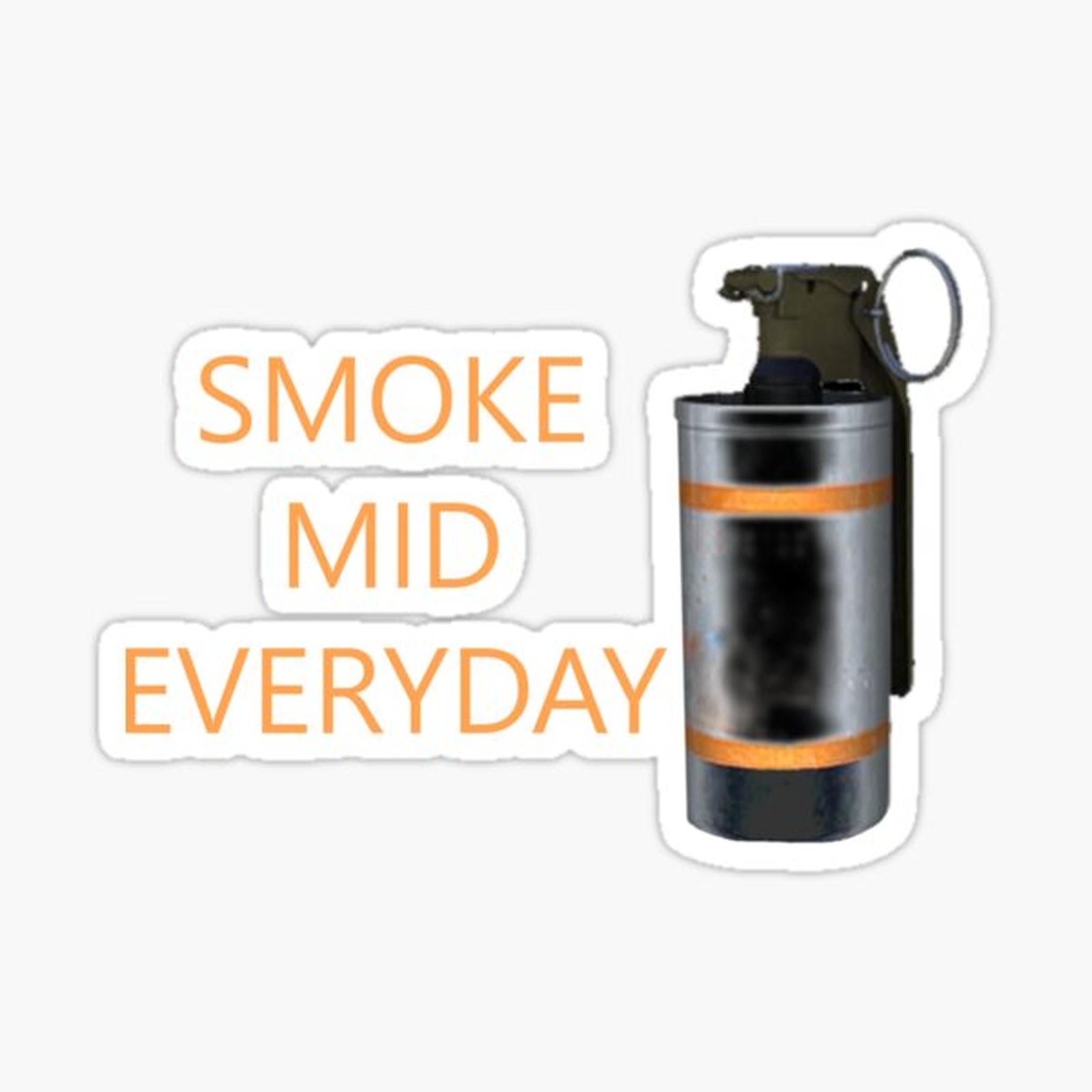 Smoke mid everydays CS_GO