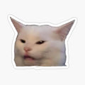 Smudge the Cat meme