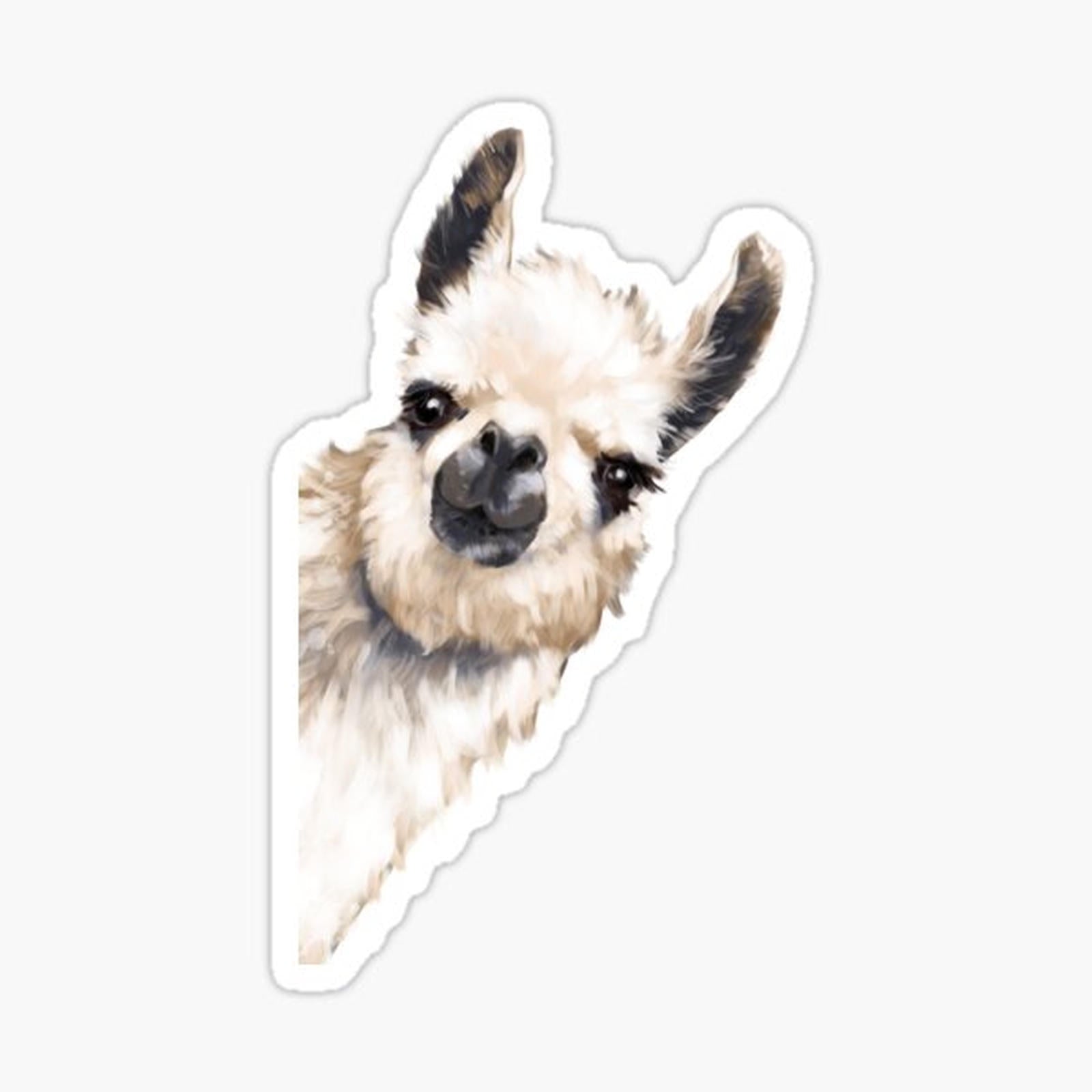 Sneaky Llama
