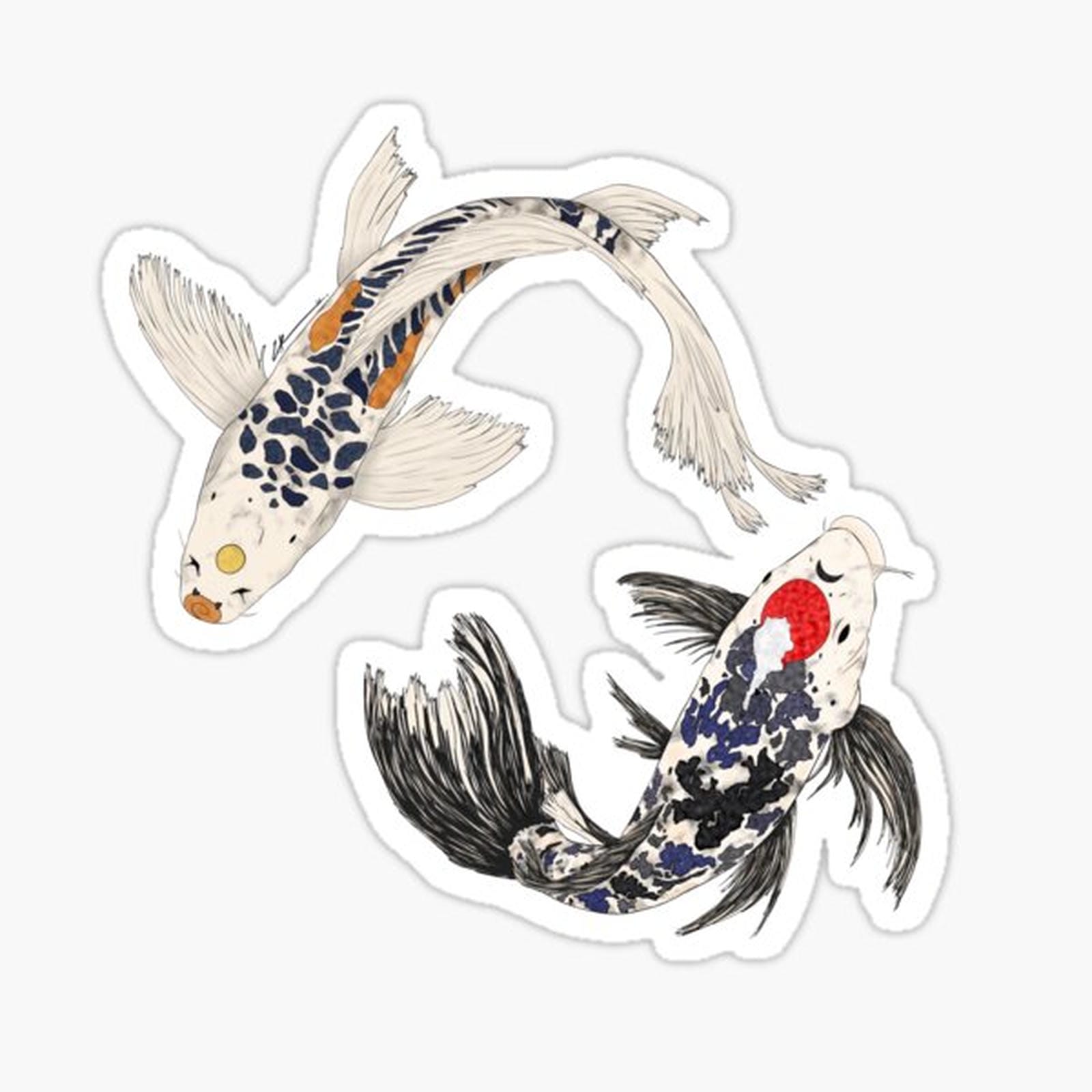 SNS- Koi Fish