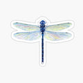 Spatterdock Dragonfly