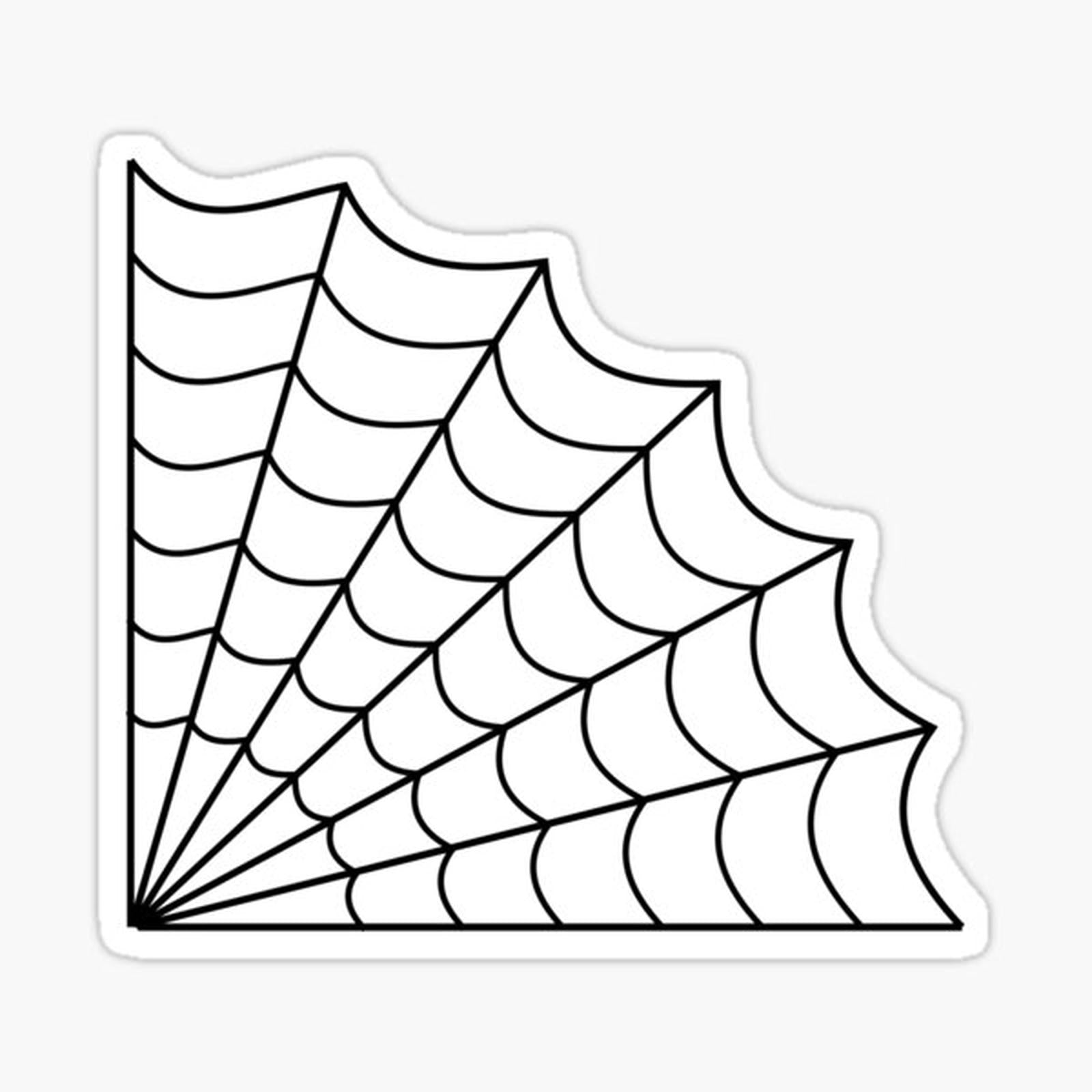 Spider Web