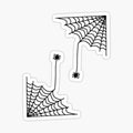 spiders