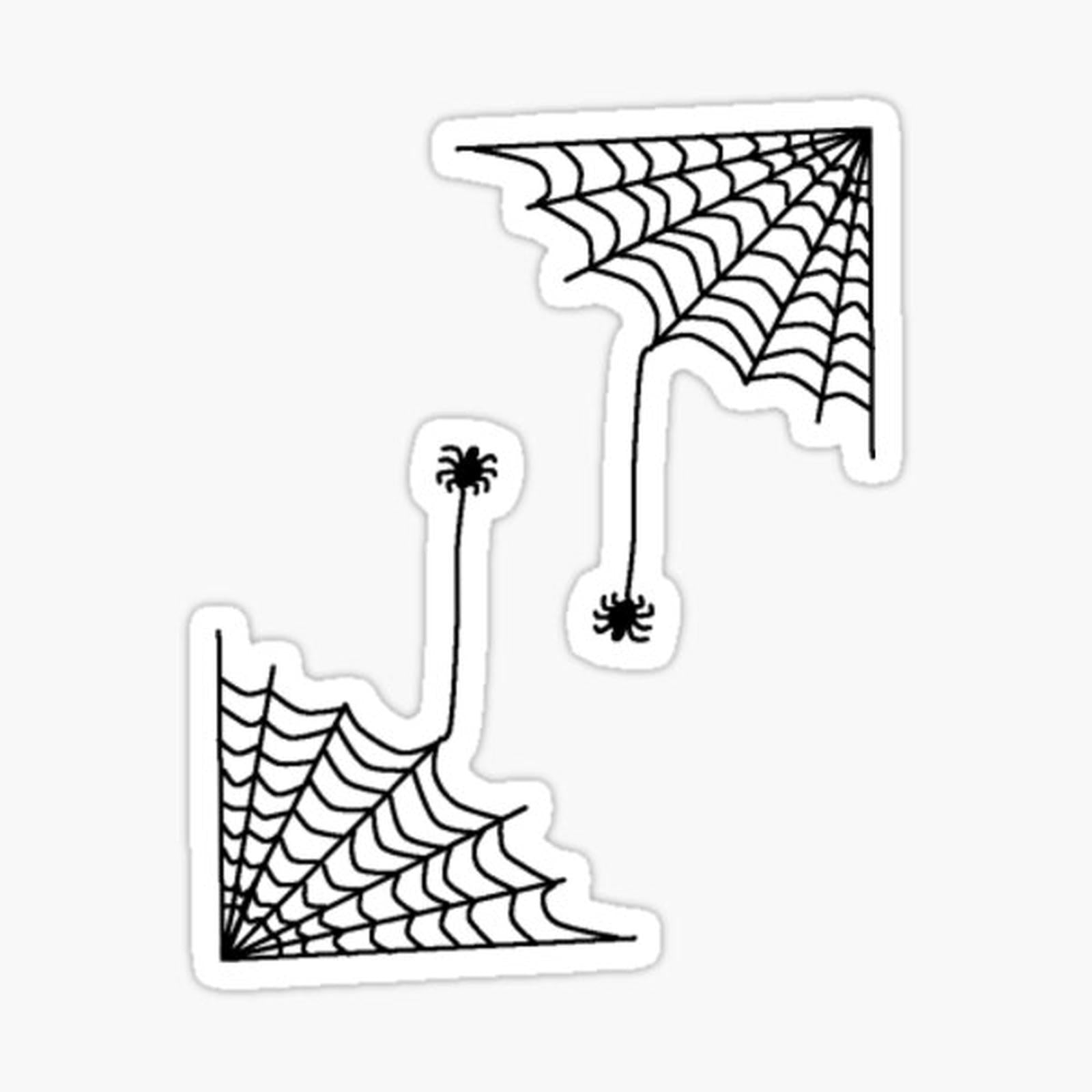 spiders