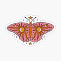 Spooky Butterfly