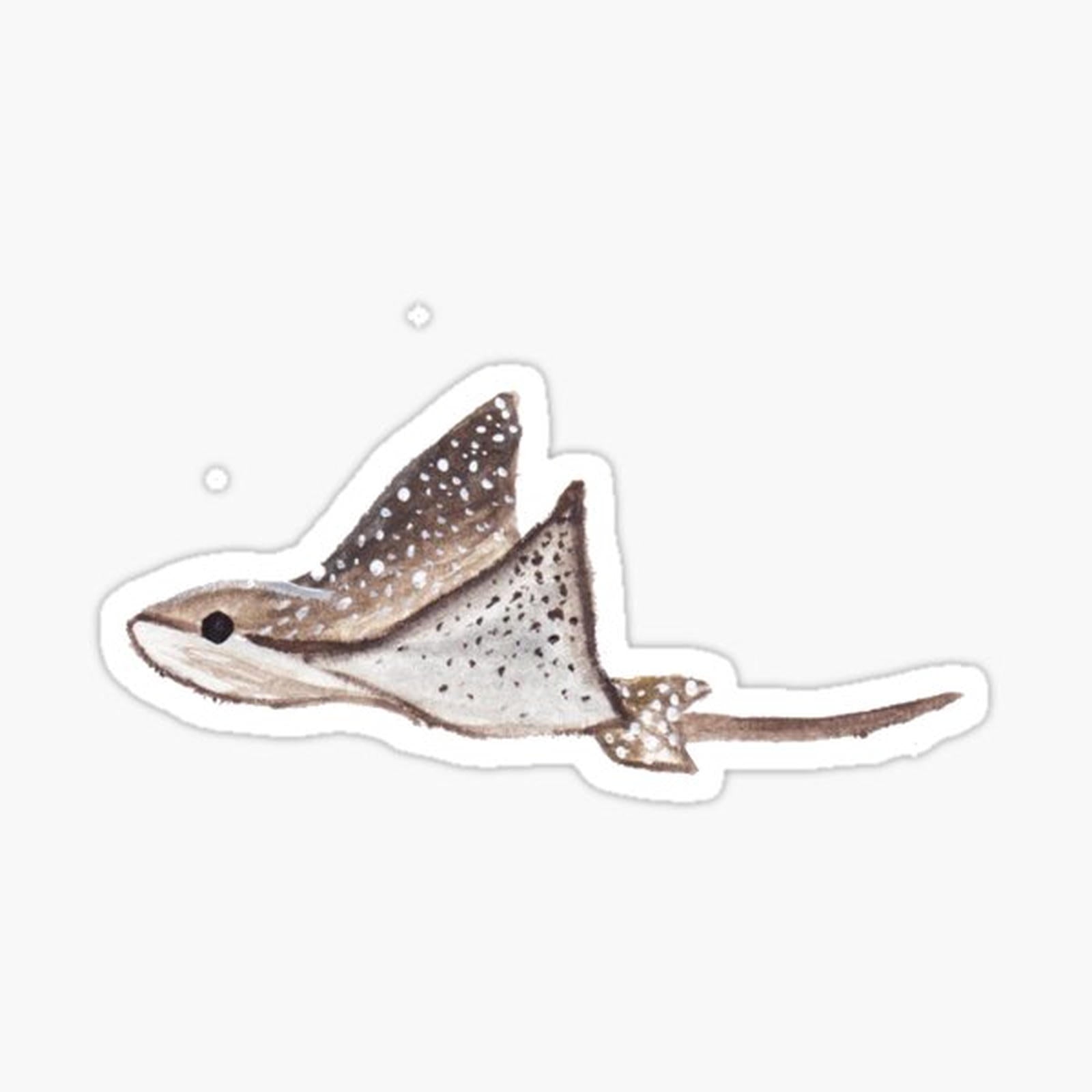Spotted Sting Ray