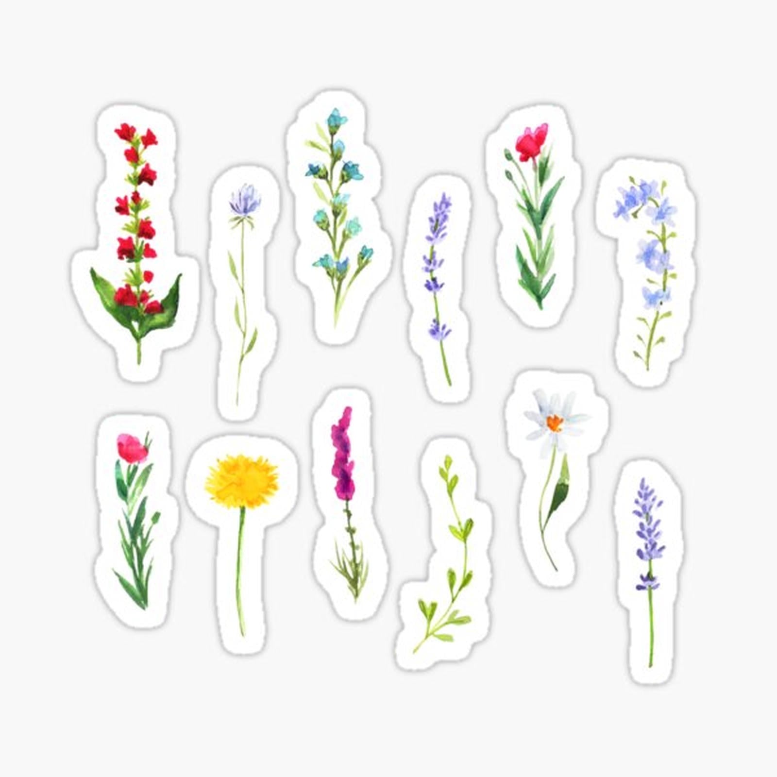 Spring Wildflowers