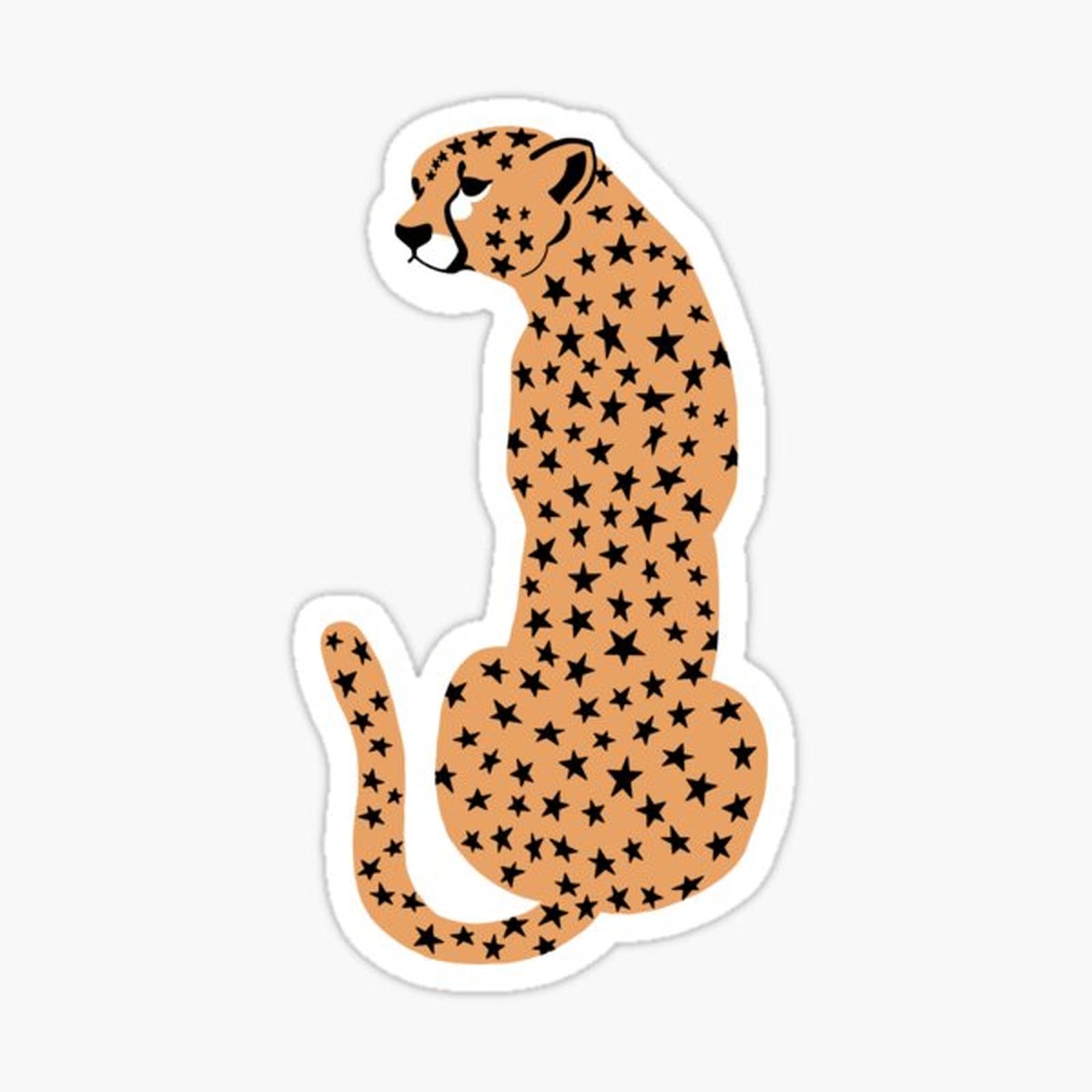 star cheetah_leopard