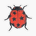 star ladybug