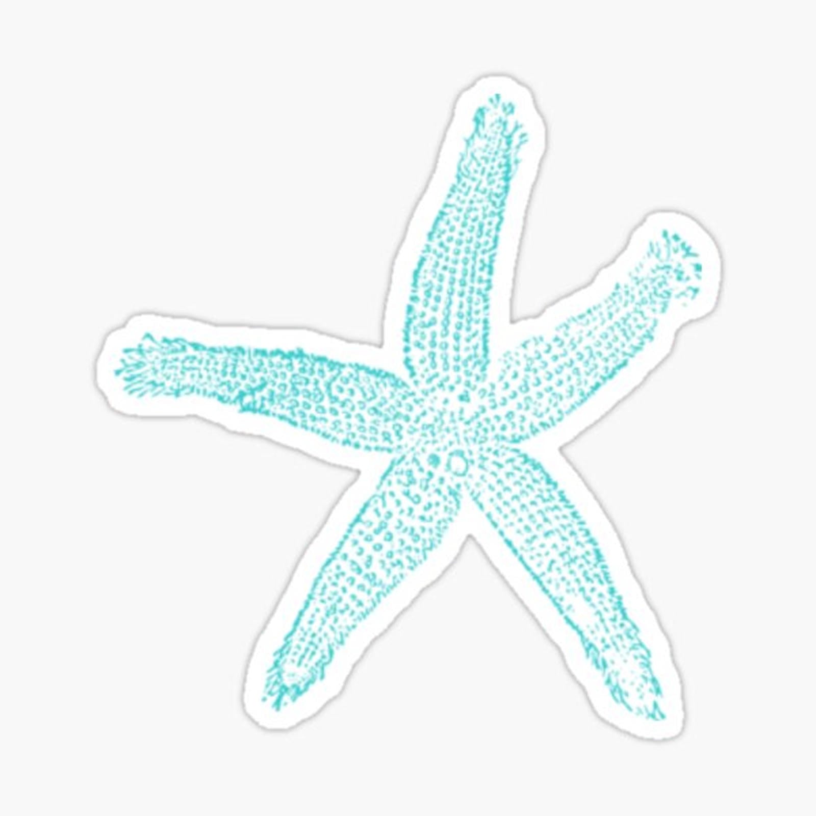 starfish