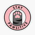 Stay Pawsitive