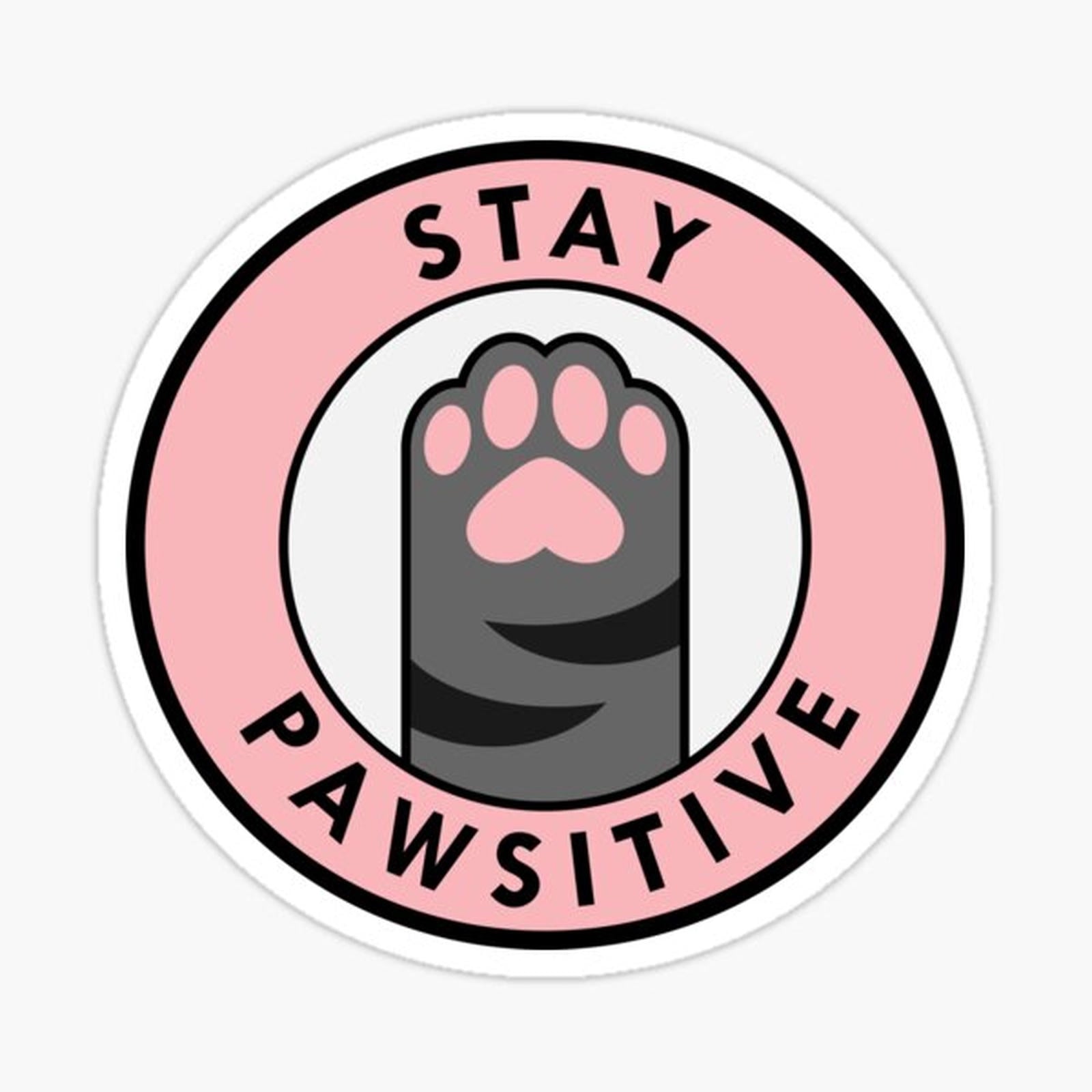 Stay Pawsitive