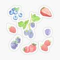 Summer Berries