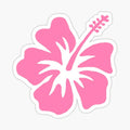 Summer Flower