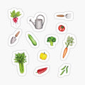 Summer Vegetable Garden
