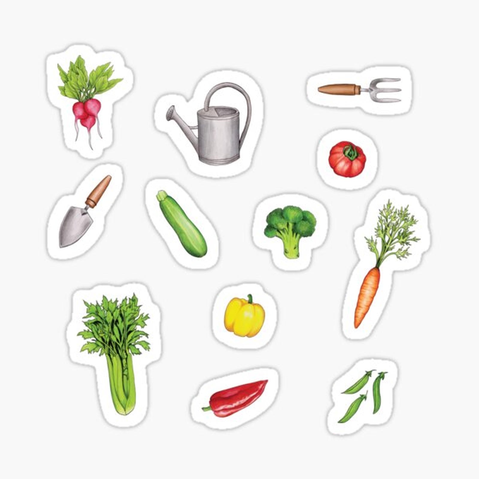 Summer Vegetable Garden