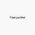 sw'l_yrwdny