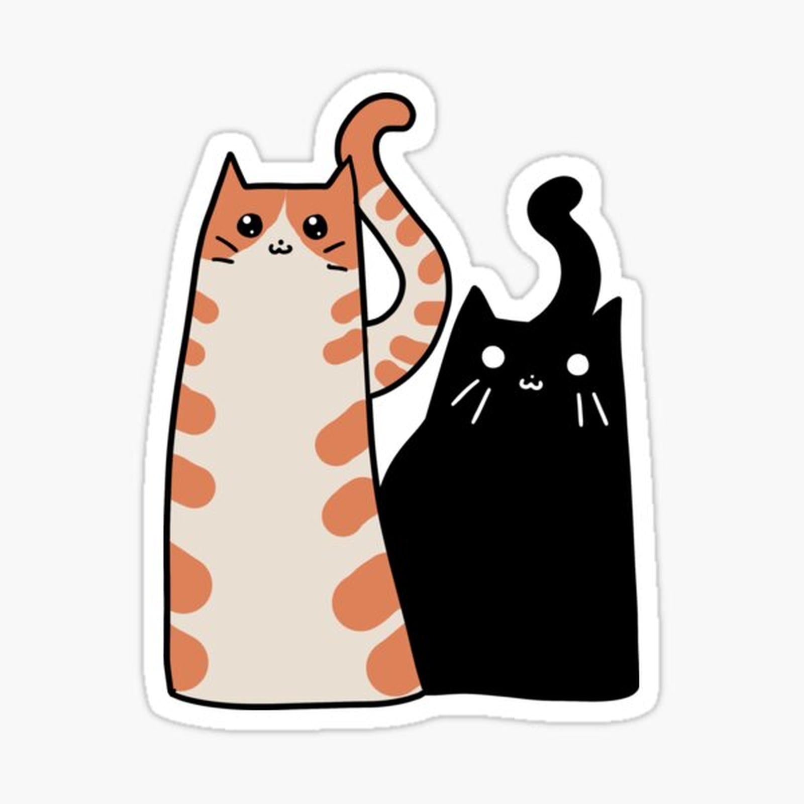 Tabby Cat and Black Cat