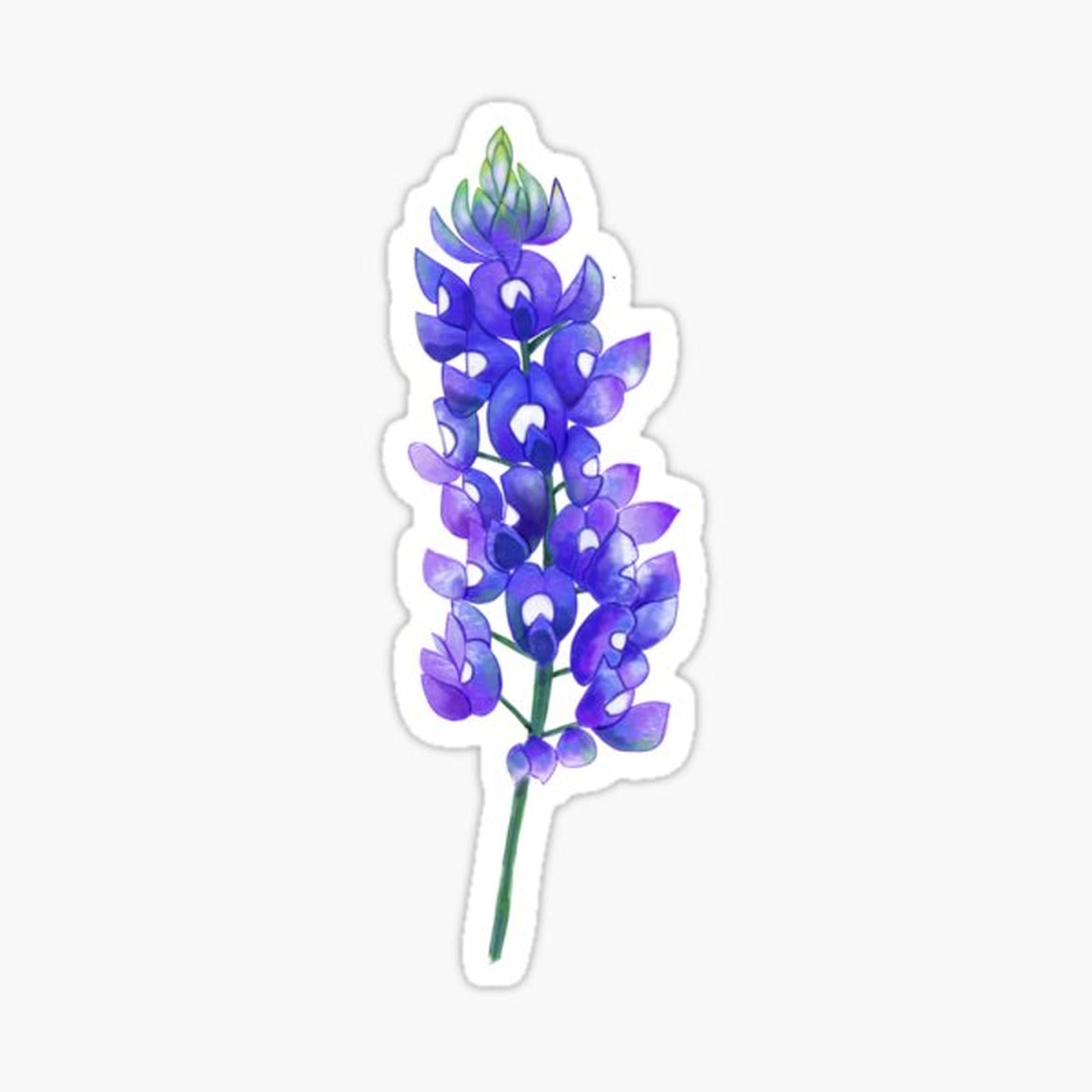 Texas Bluebonnet