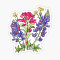 Texas wildflower